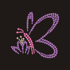 Custom Purple Butterfly Bling Rhinestone