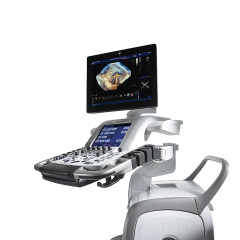 GE Vivid E9 Ultraschallsystem
