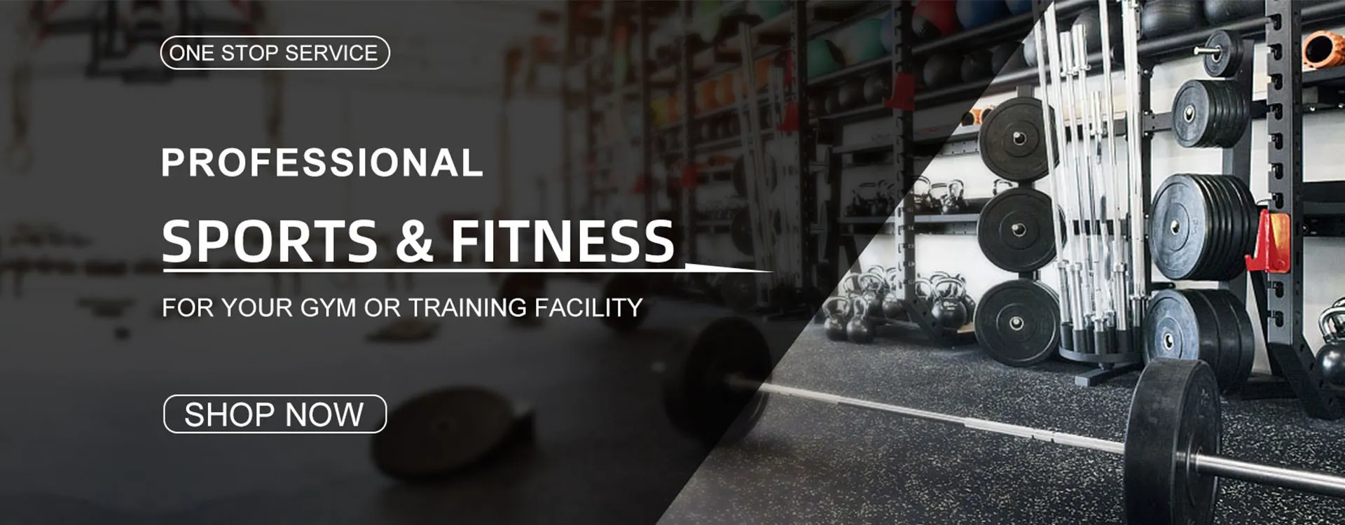 PROFESSIONAL SPORTS & FITNESS<br />Gym and Fitness - Haiteng Fitness