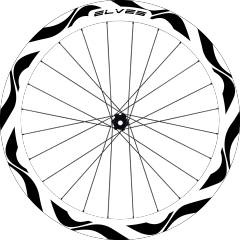 31