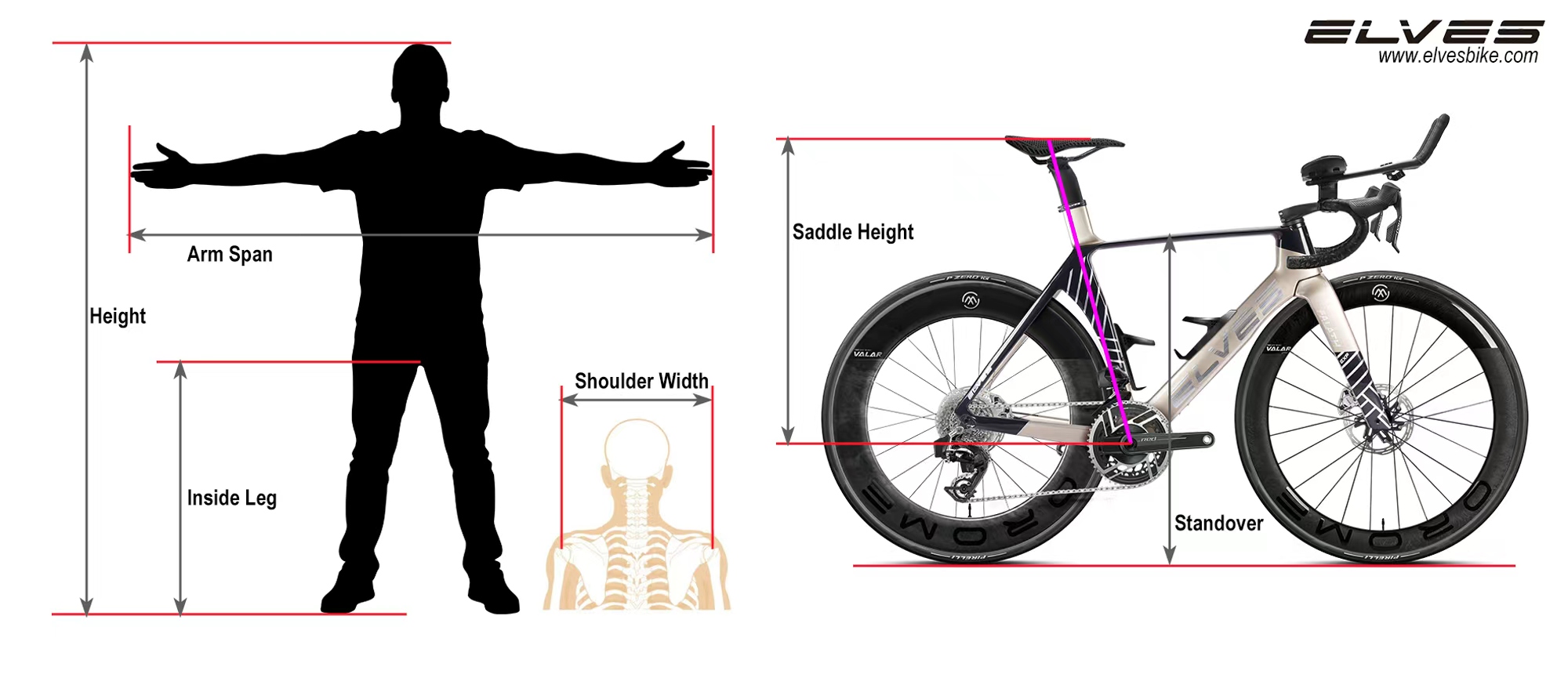 Measurement diagram. On the left, a standing figure marked with height, arm span, inside leg and shoulder width. On the right, a bicycle marked with saddle height, from the saddle top down to the bottom bracket, and standover, from the top tube to the ground.