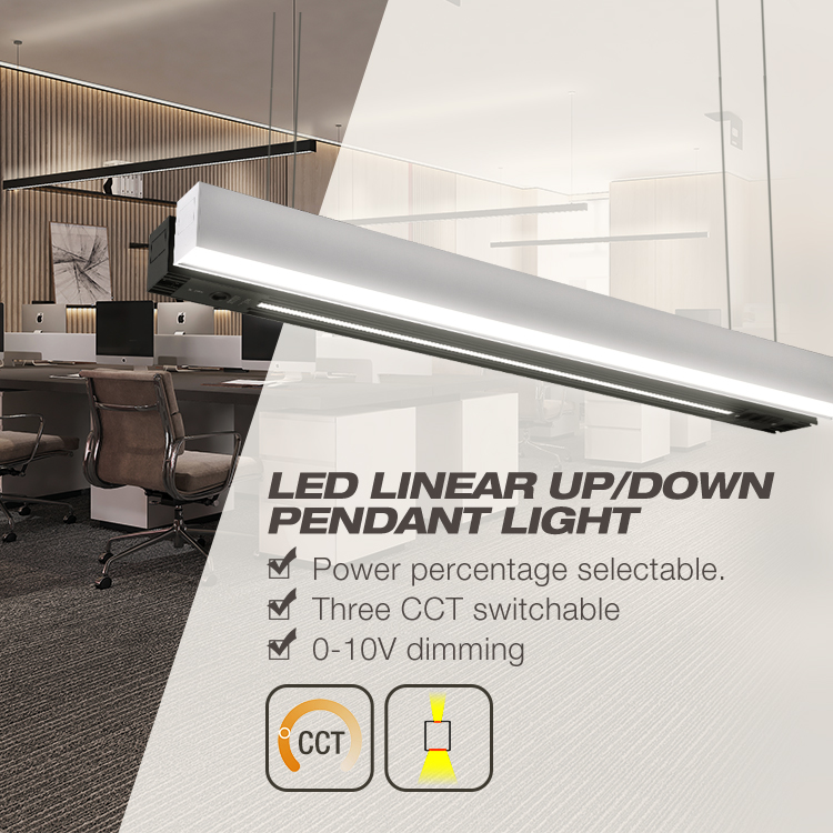 LED Lighting supplier