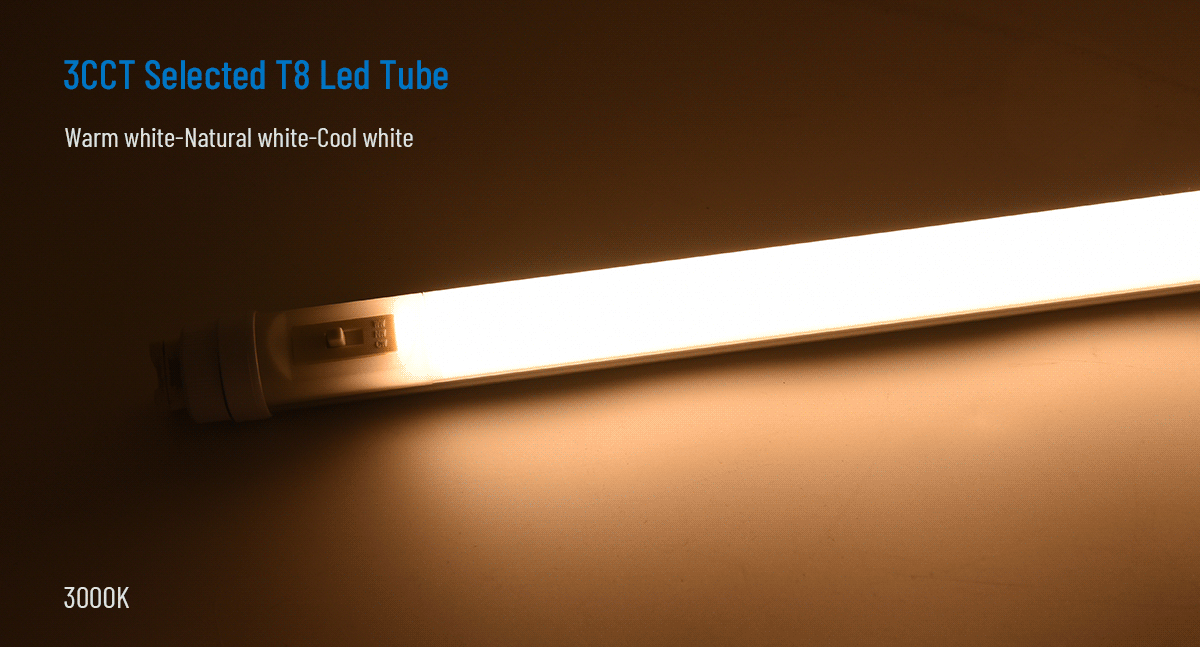 Enhancing Office and Warehouse Spaces with T8 LED Tubes