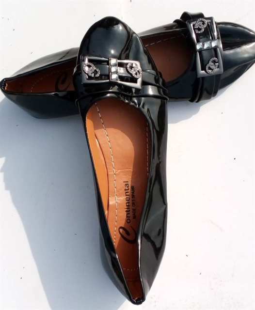 Ladies Elegant Polish Flat Shoes