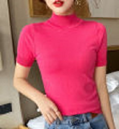 Trendy Women Turtleneck Armless Top