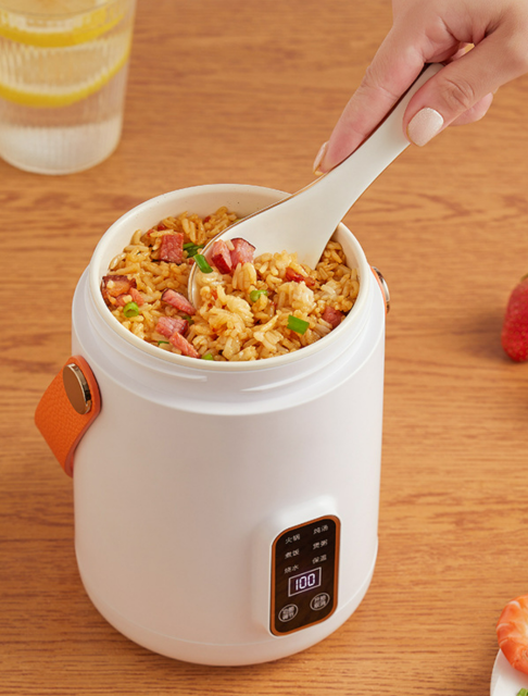 Small multifunctional electric fondue pot home mini single cooker portable electric cooker stew soup pot