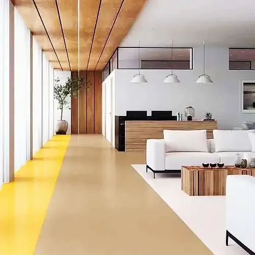 Summary of applicable places|Which projects are PVC plastic flooring widely used?