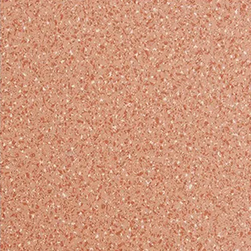 PVC Plastic Dense Floor