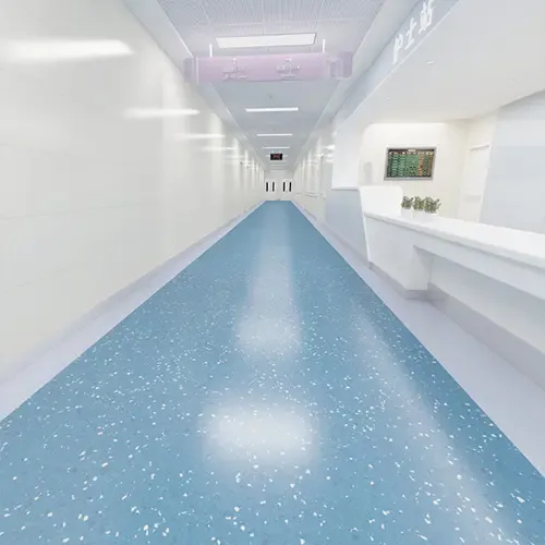 Homogeneous Transparent Plastic Floor