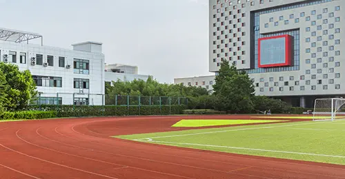 university