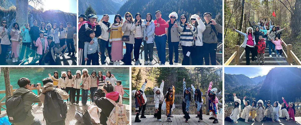 HAODIBAN Brand Flooring Tream