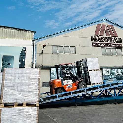 Successfully Completed the Shipment of 6 Cabinets of Orders
