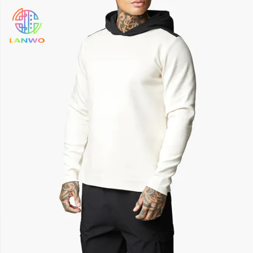 Oem Odm Custom New Arrival Cotton Heavy Plus Size Men's Sweatshirt Private Gym Hoodie For Men