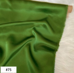 Turtle Green