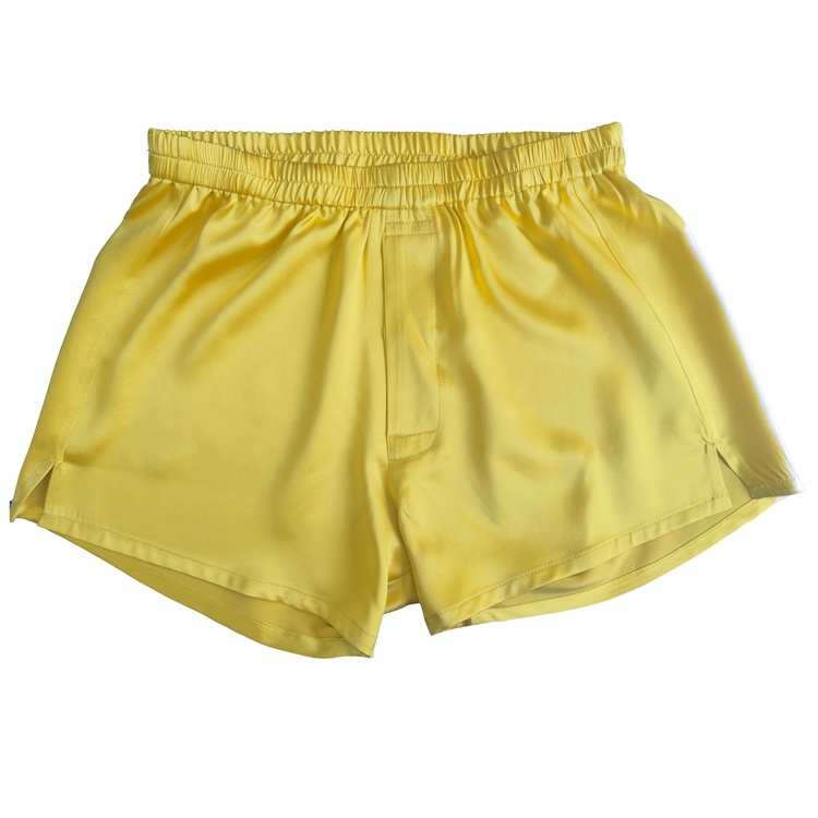 Men's 100% Pure Mulberry Silk Boxer Briefs