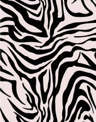 Zebra #026
