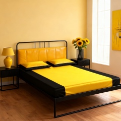 Black & Gold
