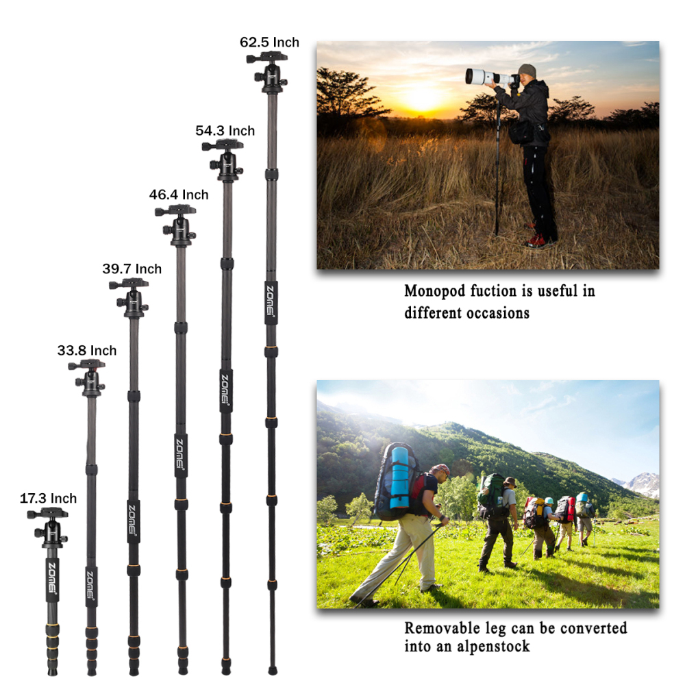ZOMEi Q666C Folding Carbon Fiber Portable Tripod to Professionals Easy to Operate as a Travel Companion