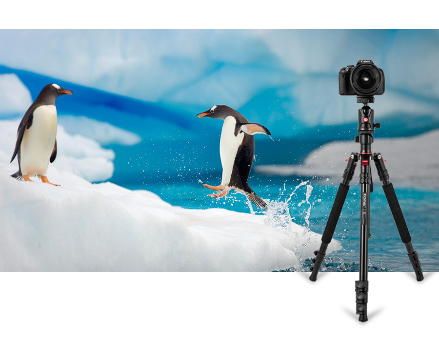 travel tripods for dslr cameras