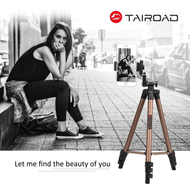 Tairoad 50 Inch Light Weight Portable Travel Tripod for Fishing Light, Mini Projector, Security Camera, Tiny Camera Telescope with Carrying bag(gold)