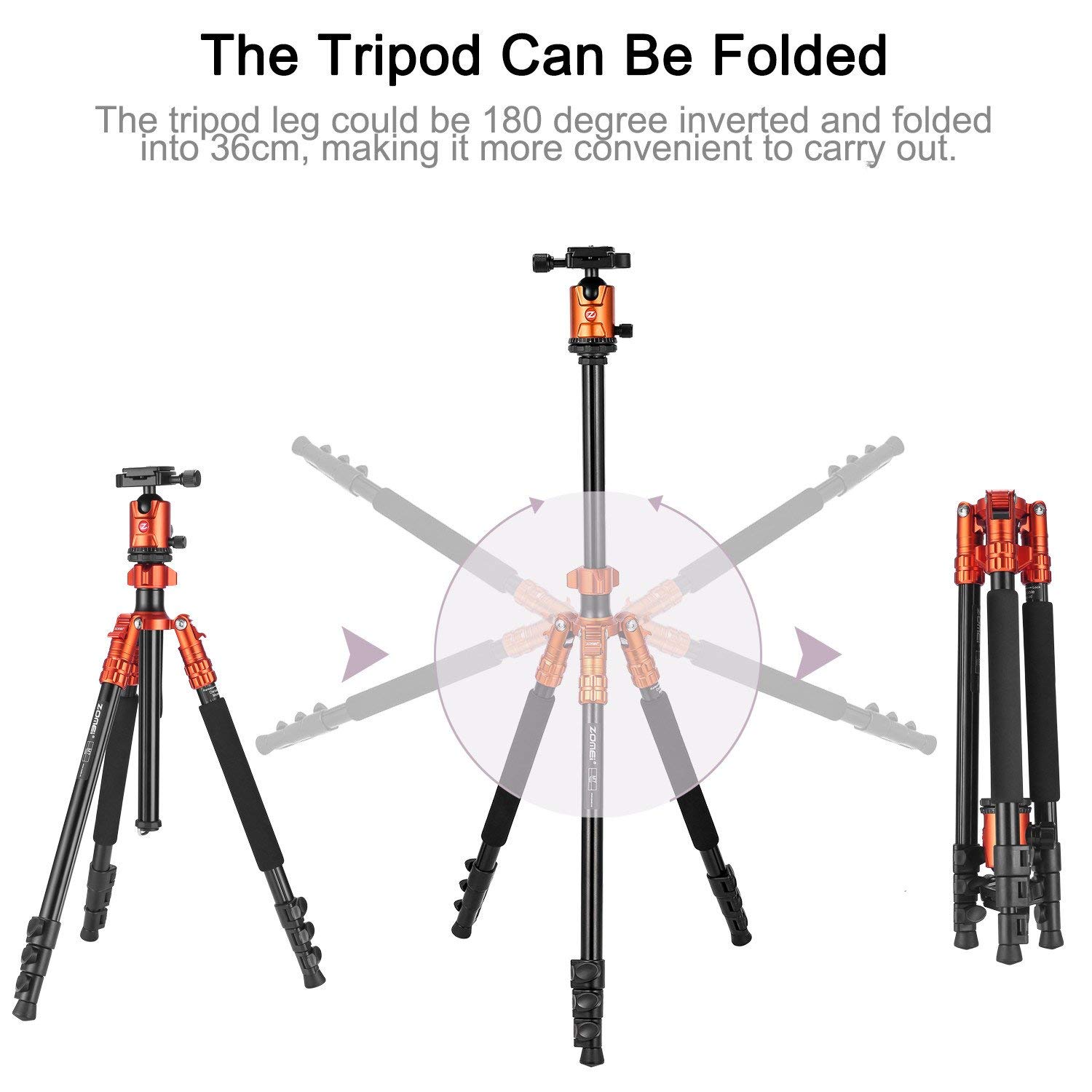 Tripod Sardine　MZーN910　管理ナンバー9078 Sirui N-2204SK N-S Series Tripod (Carbon Fiber) - Stewarts Photo