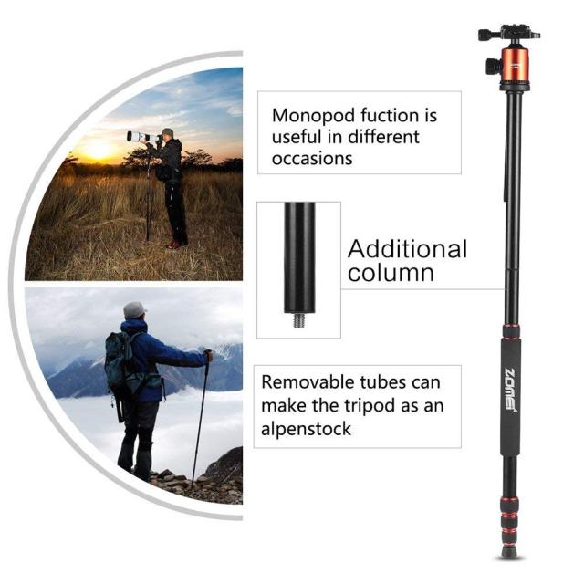 ZOMEi Z818 / Z888 Heavy Duty Camera Tripod 65 Inch for Professional Photographic Shooting for Landscape and Food Photography - Silver