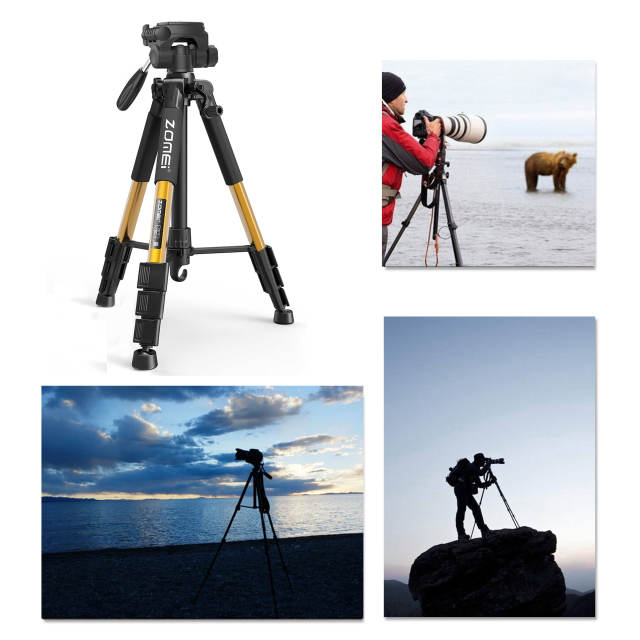 ZOMEi Q111 Lightweight Backpacking Tripod Kit 4-Section with 3-Way Pan Head and Carrying Case for Home Travel Photography Camera DV -Gold