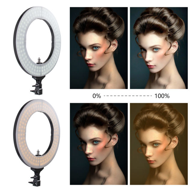 Best Christmas Gift -- ZOMEi 14-inch LED Ring Light Makeup Portrait and Photography Lighting with Halo Circle and Bi-color Control