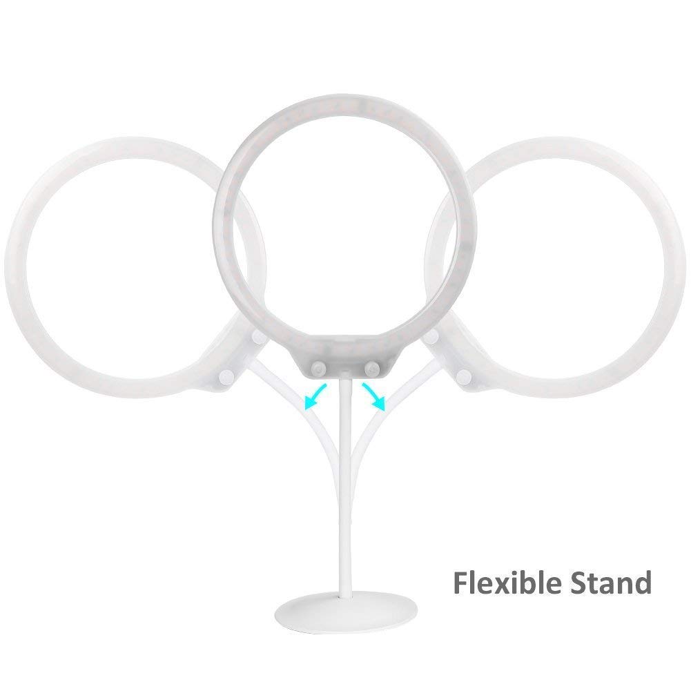 ZOMEI 10 Inch Dimmable LED Ring Light for Selfie Makeup with Mirror, Phone Holder (White)