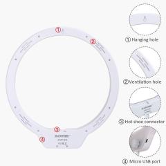 ZOMEI 10 Inch Dimmable LED Ring Light for Selfie Makeup with Mirror, Phone Holder (White)
