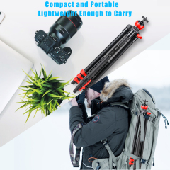 ZOMEi Phone Tripod, Cell Phone Tripod Camera Tripod with Remote Cellphone Holder Mount 360 Panorama Ball Head for Camera GoPro/Mobile Cell
