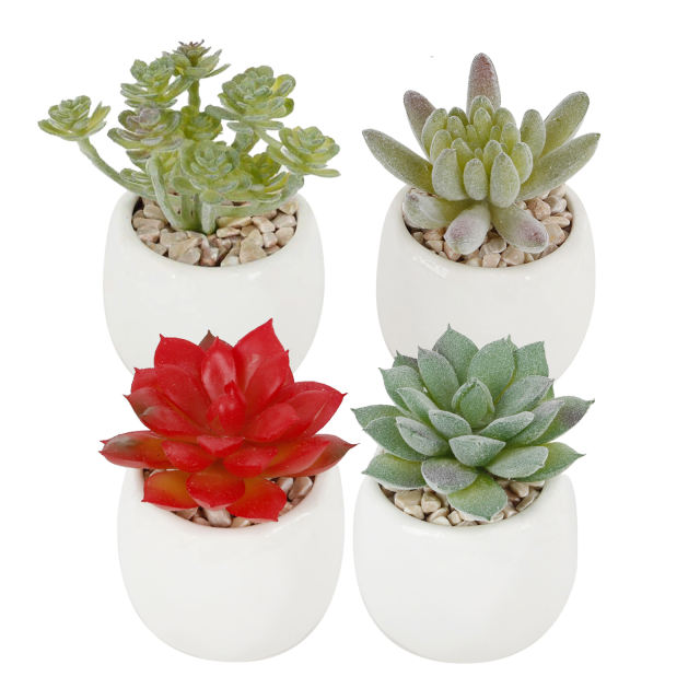 Karlesi Artificial Succulents in Pots Set of 4,Mini Potted Faux Succulents with White Ceramic Pot for Desk, Bedroom, Living Room, and Office Decorati