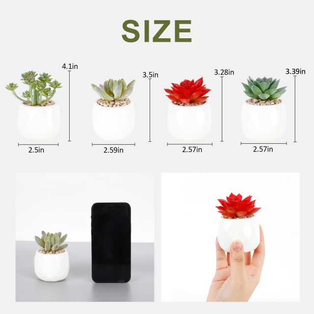 Karlesi Artificial Succulents in Pots Set of 4,Mini Potted Faux Succulents with White Ceramic Pot for Desk, Bedroom, Living Room, and Office Decorati