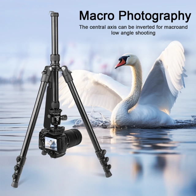 Heavy Duty Tripod for Camera and Phone Camera Monopod Tripod DSLR Binoculars Spotting Scope Camcorders Video Tripod Stand 196cm