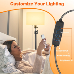 Zomei 10" LED Video Light Kit with 63" Tripod Stand - Dimmable Studio Lighting for YouTube/TikTok/Live Streaming