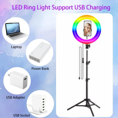 10" Professional Ring Light with Adjustable Tripod & Phone Holder – Retractable Color Temp, Perfect for Live Streams/YouTube/TikTok, Ideal Christmas Gift
