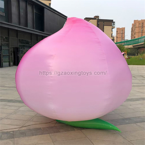 Advertising Inflatable Peach Fruit