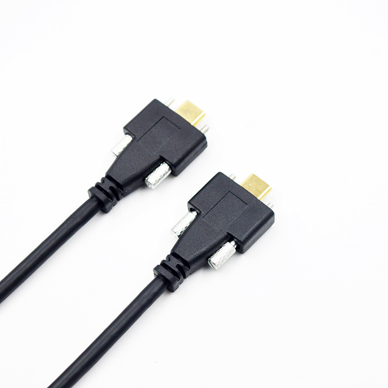 Lodalink Customized USB-C 3.1 Male to Male Cable with Screw Locking