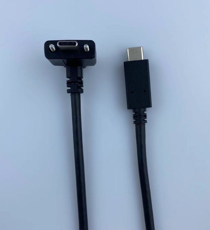 Lodalink USB-C 3.1 Gen2 down Angled Male to Male Screw Lock Cable 10GB