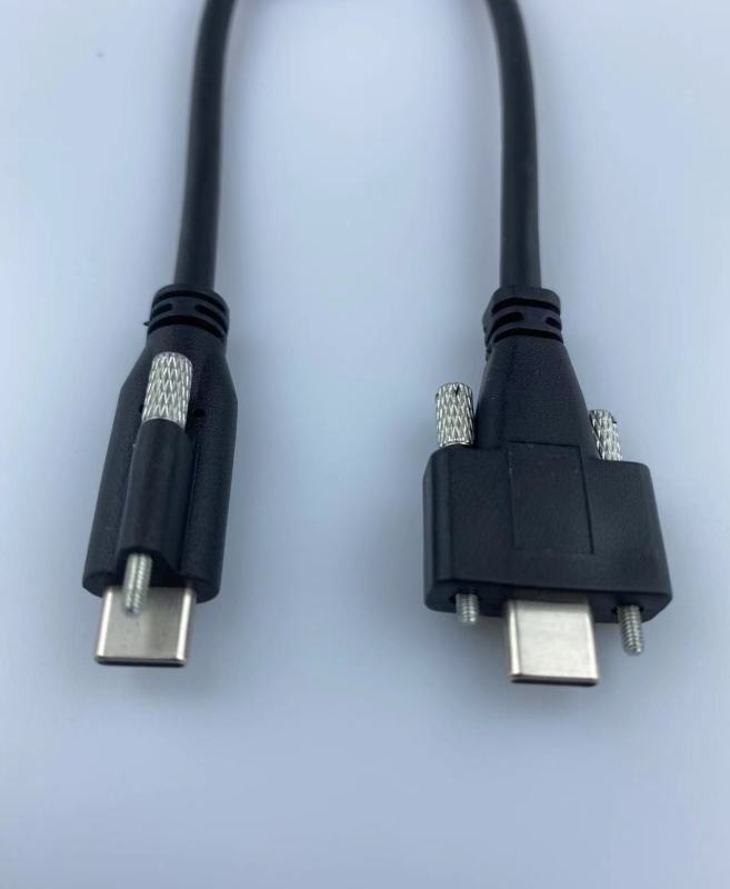 Lodalink USB-C 3.1 Gen2 Male to Male Screw Lock Cable 10GB