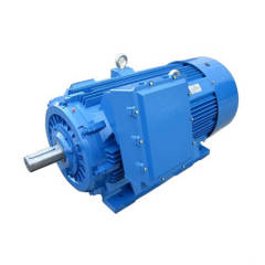 Y2PT cast iron variable frequency high voltage motor