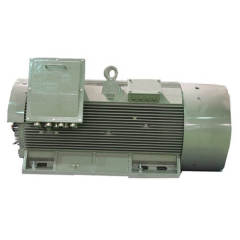 TEFC Rib cooling NEMA motor