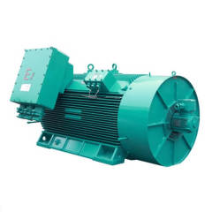 YFB dust proof medium and high voltage motor
