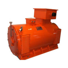 WPII TEAAC TEWAC NEMA high voltage motor