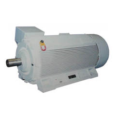 Y2PT cast iron variable frequency high voltage motor