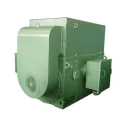 WPII TEAAC TEWAC NEMA high voltage motor