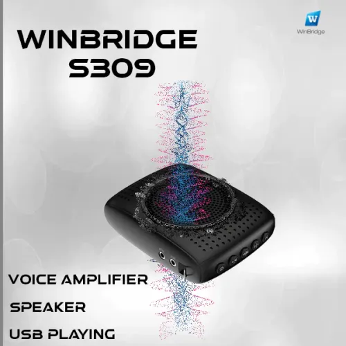 Mini Voice Amplifier