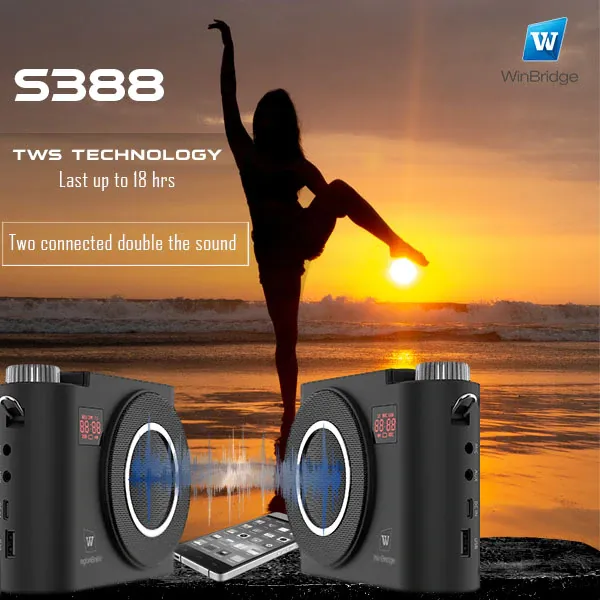 WinBridge S388 Wireless Voice Amplifier