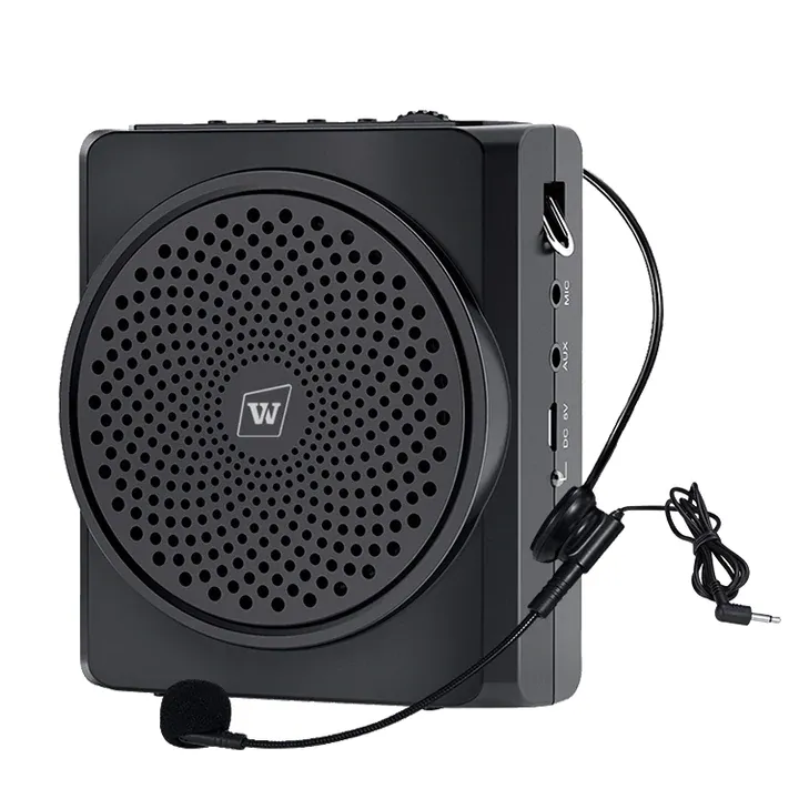 WinBridge S619 Voice Amplifier