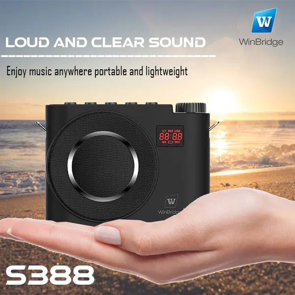 WinBridge S388 Wireless Voice Amplifier